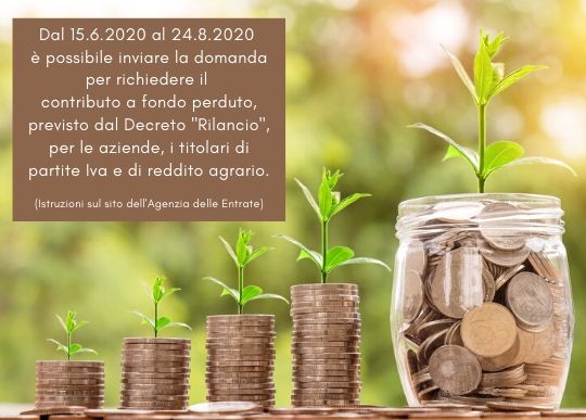 domanda contributo fondo perduto.jpg